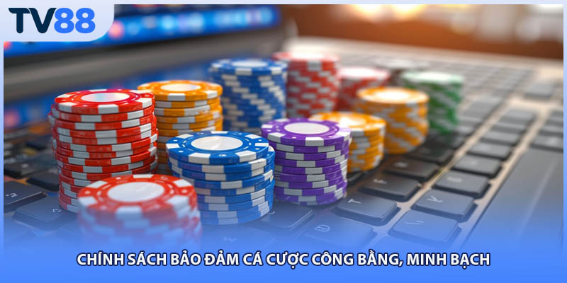 Chính sách bảo đảm cá cược công bằng, minh bạch